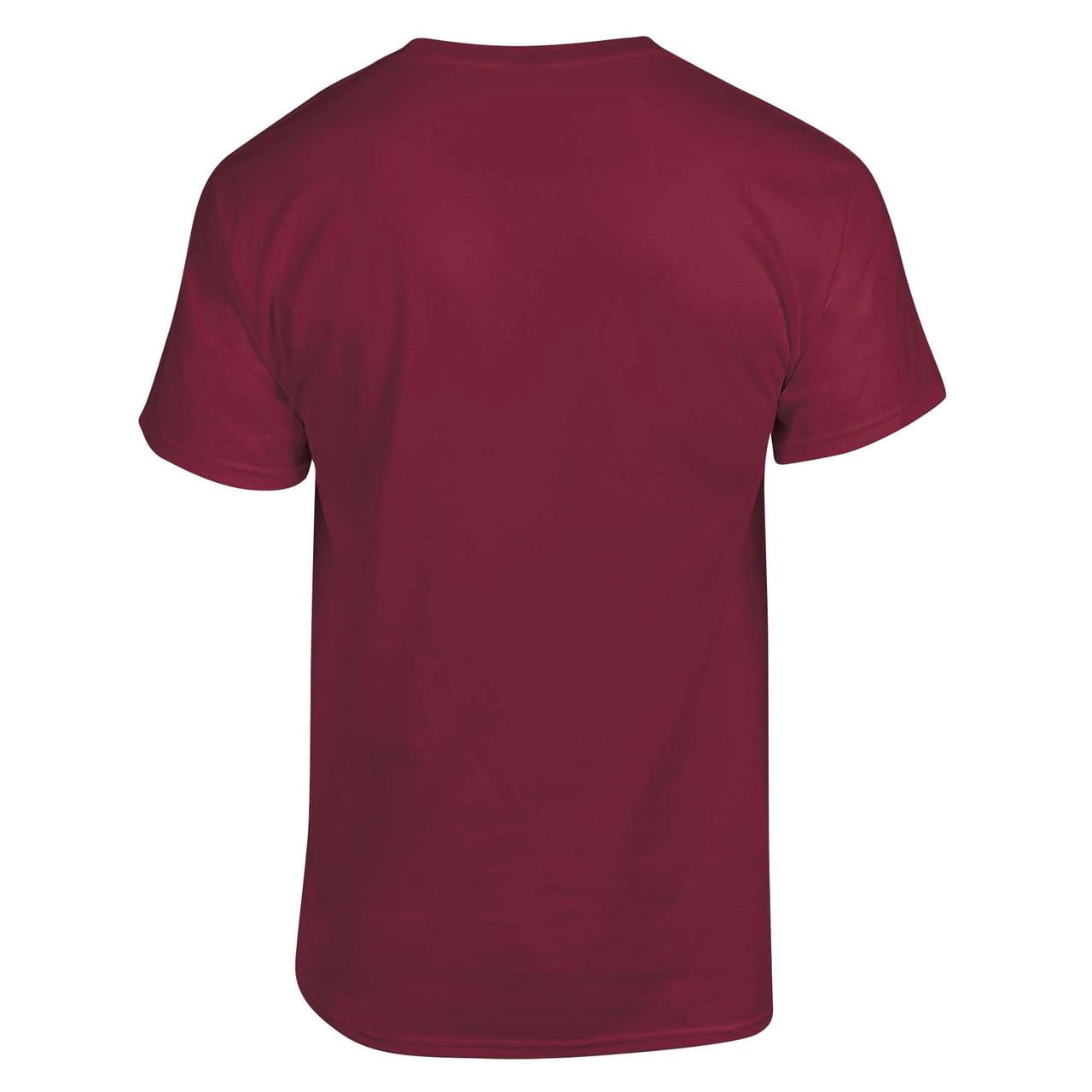 NCAA Mens Florida State Seminoles Primary Logo Graphic T-Shirt