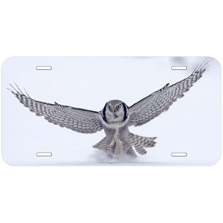 Owl TAG01 Novelty Car Auto License Plate