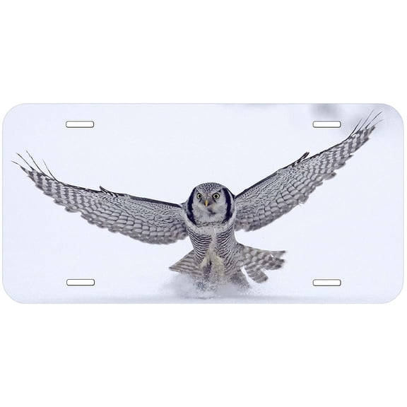 Owl TAG01 Novelty Car Auto License Plate