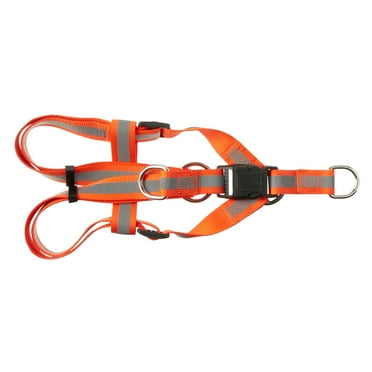 Vibrant Life Hunter Step-in Harness for Dogs, Orange, L