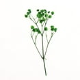 thumbnail image 5 of Real Dried Leaves Bouquet Decorative - Green, 5 of 6
