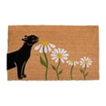 thumbnail image 1 of Instachew Tapis pour Chat HARU Motif Fleur Recharge, 1 of 1