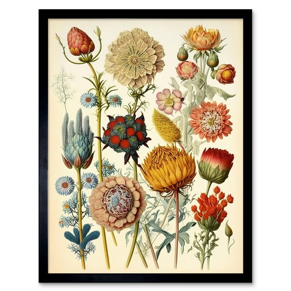 Vintage Botanical Ernst Haeckel Inspired Plant Study Modern Watercolour Painting Illustration Art Print Framed Poster Wall Decor 12x16 inch
