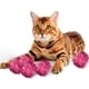 thumbnail image 4 of 30 Uds. Pelota de juguete para gatos, pelota de Color para gatos, pelota de juguete para gatos, pelota de juguete interactiva, 4 of 5