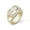 Gold tone, variant on Bling Punky Rapper Fashion Luxury Rings for Men 14K Gold Plated Shiny Big Iced out Hip Hop Cubic Zirconia Men Rings