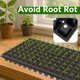thumbnail image 3 of Gardzen Paquete de 10 Bandejas para Semillas de 128 Celdas, Bandeja de 3.8 cm de Profundidad para Plántulas, Bandejas Duraderas con Agujeros de Drenaje, 3 of 5
