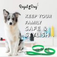 thumbnail image 4 of Heavy Duty Reflective Dog Collar \u Adjustable and with Durable Metal Buckle and Rings Odor chew Dog Collar for Small Medium and Large Dogs (Large Pink), 4 of 9