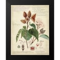 thumbnail image 2 of Descubes, A. 15x18 Black Modern Framed Museum Art Print Titled - Descube Botanical V, 2 of 5