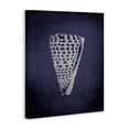 thumbnail image 3 of Stupell Industries Tropical Nautical Cone Shell Canvas Art, 16 x 20, by Graffitee Studios, 3 of 8