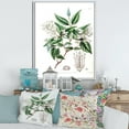 thumbnail image 3 of Designart Vintage Botanicals X FLOAT FRAME WALL ART, 3 of 4
