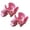 Pink(2pcs), variant on 2 Pcs 2‑in‑1 Universal Cup & Phone Holder - Universal for Strollers & Wagons, Bikes, Wheelchairs, Scooter & Shopping Cart