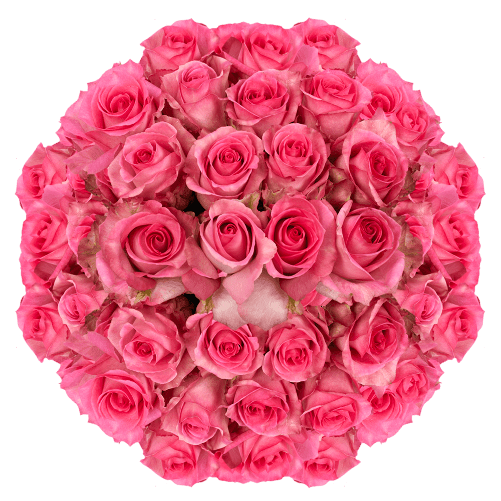 100 Stems of Priceless Roses- Fresh Flower Delivery - Walmart.com ...
