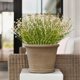 thumbnail image 5 of Ramo artificial de lavanda, gypsophila y eucalipto - Arreglo floral artificial realista de 42 cm para decoración del hogar - Centro de mesa floral artificial sin mantenimiento para sala de estar, 5 of 6