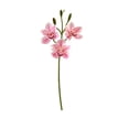 thumbnail image 2 of Doghiosgha 1 Pc Artificial Cymbidium Flowers, Faux Orchid Spray, Single Flower Stems for Wedding Home Garden Party Table Decor, 7.8x21.6 Inch, Pink, 2 of 6