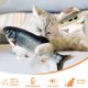 thumbnail image 4 of Juguetes para gatos: pez que se mueve con SilverVine y hierba gatera, pateador para gatos en movimiento, pez que se mueve con movimientos suaves para perros pequeños, 4 of 7