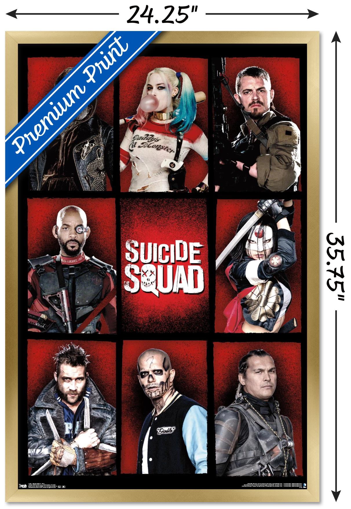DC Comics Movie - Suicide Squad - Grid Wall Poster, 22.375" x 34", Framed