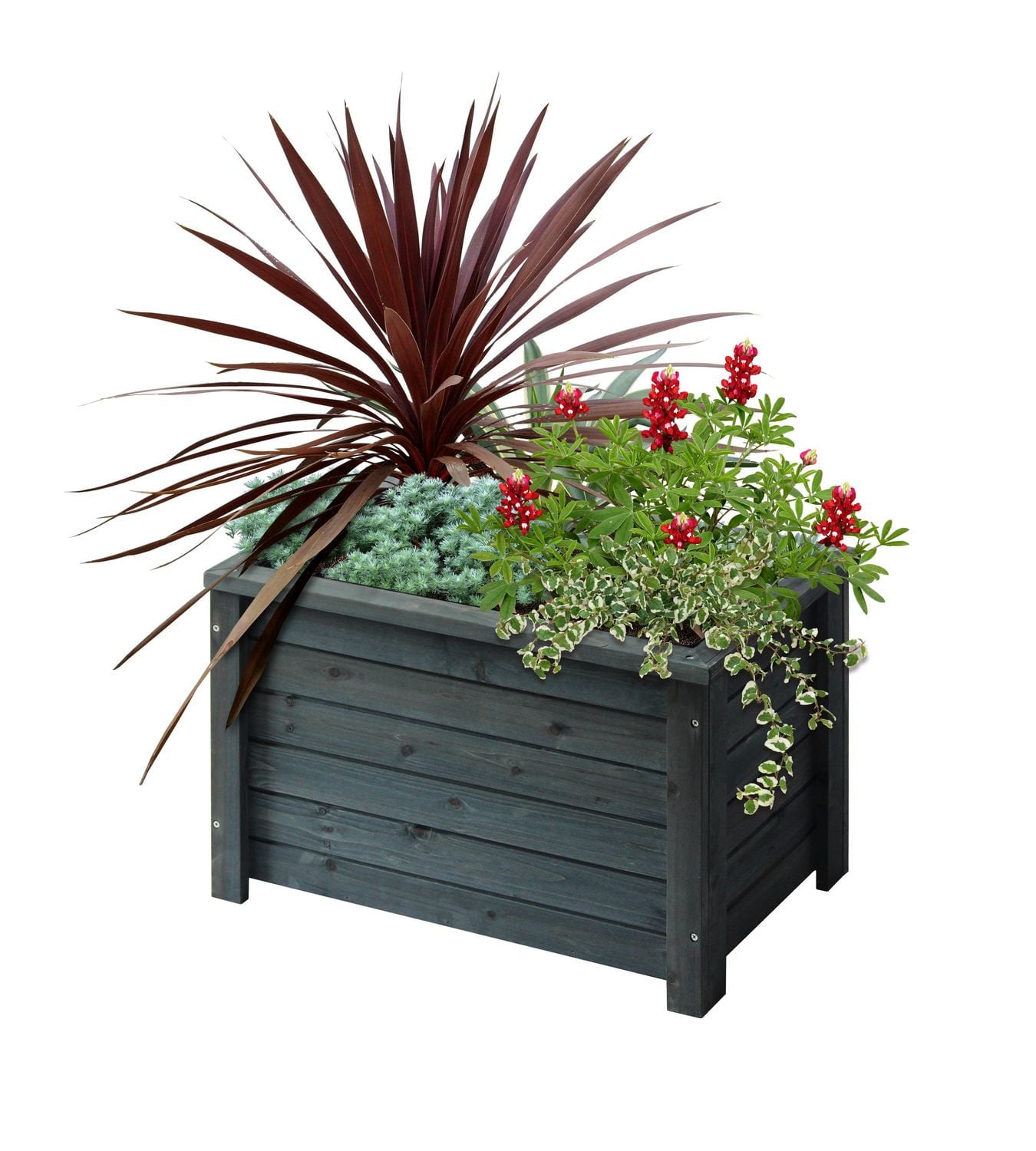 VegTrug 24" x 15" Rectangle Wooden Planter