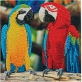 thumbnail image 1 of CA Card - Perroquet Amis, 1 of 1