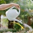 thumbnail image 4 of Long Nozzle Watering Can, Planter Sprinkler Watering Pot, indoor e outdoor Bonsai Houseplants Gardening Kettle , Light Gray Gris Clair 3.5L, 4 of 9