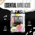thumbnail image 3 of Arms Race Nutrition | ARN | Daily Amino Essential Amino Acids (20 Servings, Rainbow Sherbet), 3 of 8