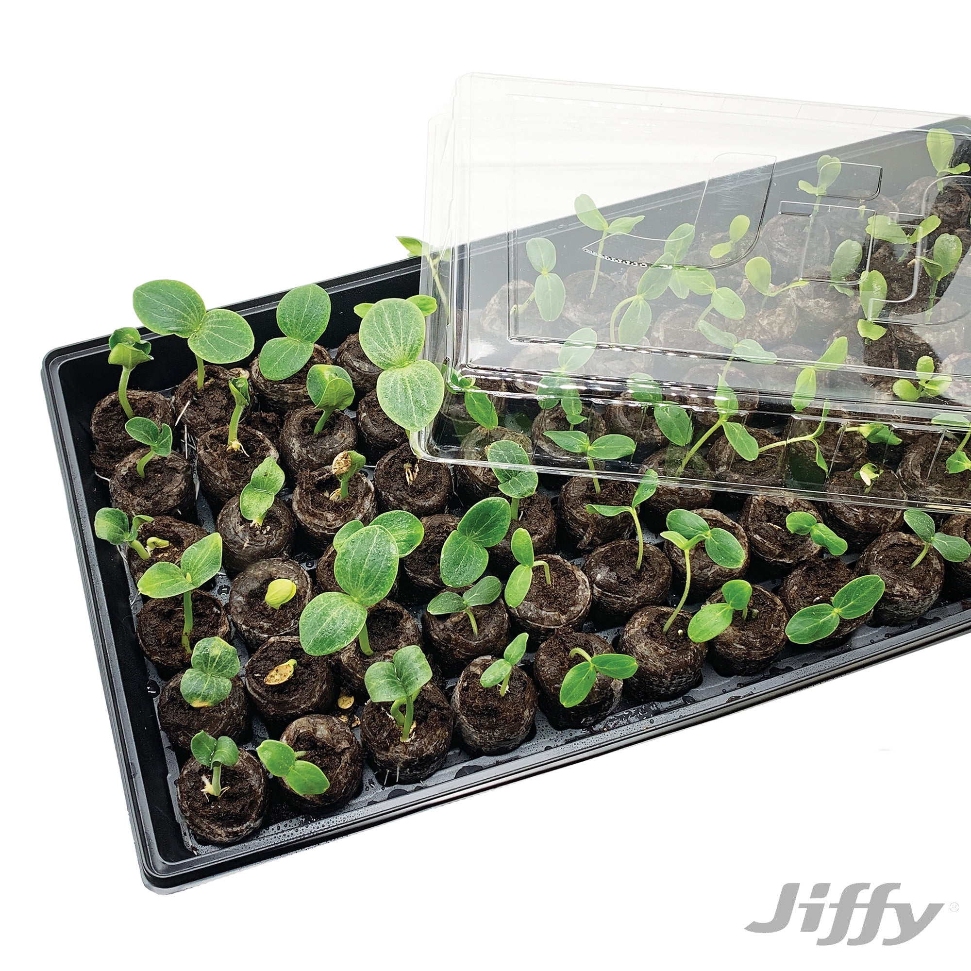 Jiffy 72 Cell Greenhouse Seed Starter Kit with 36mm Peat Pellets