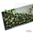 thumbnail image 5 of Jiffy 72 Cell Greenhouse Seed Starter Kit with 36mm Peat Pellets, 5 of 12