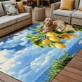 thumbnail image 2 of Fsddascl Yellow Lemon Outdoor Rug for Patio/Deck/Porch, Non-Slip Large Area Rug 4 x 6 Ft, Summer Blue Sky Coastal Scenery Indoor Outdoor Rugs Washable Area Rugs, Reversible Camping Rug Carpet Runner, 2 of 5