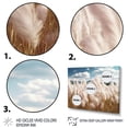 thumbnail image 3 of Designart "Meadows of White Pampas Grass II" Floral Wall Art Prints Set, 3 of 5