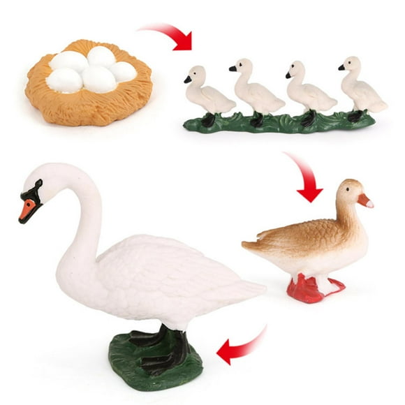 Conjunto de modelos de de de animales Juguete de salmón Colección de juguetes educativos para niños - Cisne