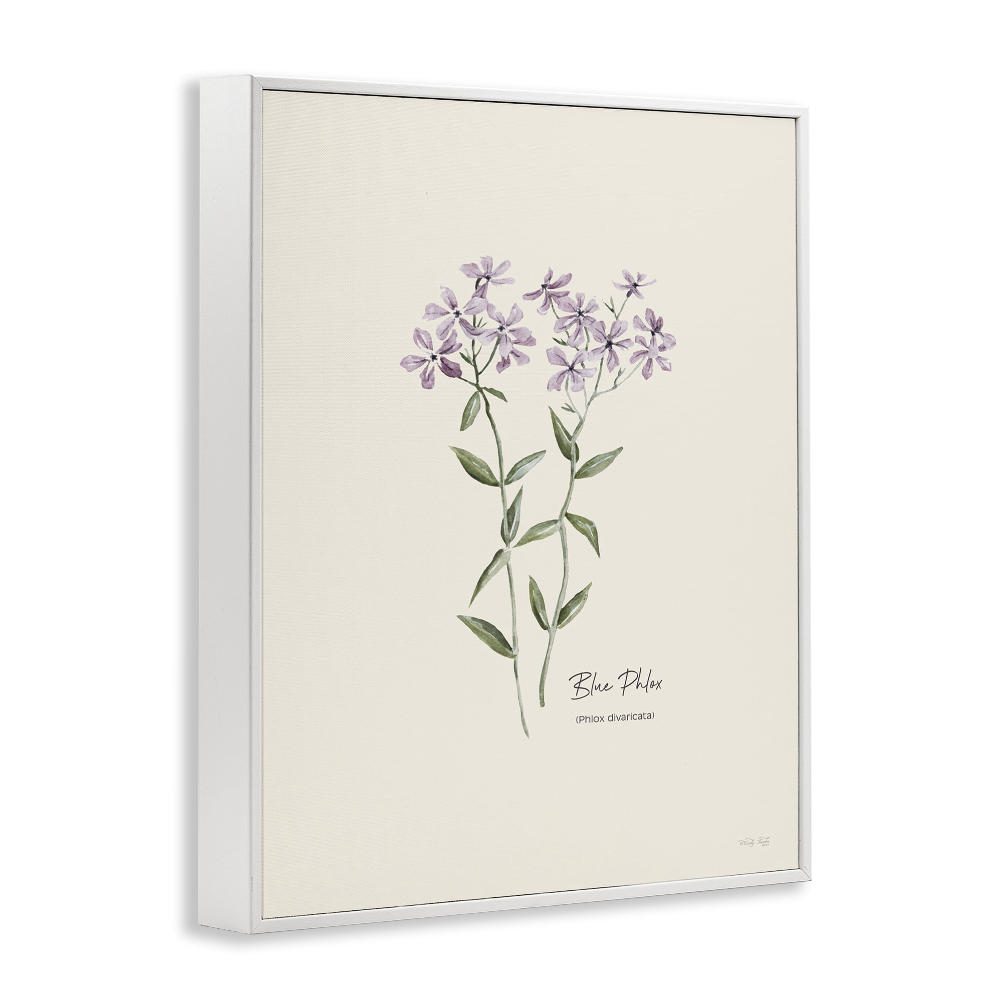 Stupell Industries Country Herb Diagram Botanical & Floral Painting White Framed Art Print Wall Art, 24 x 30