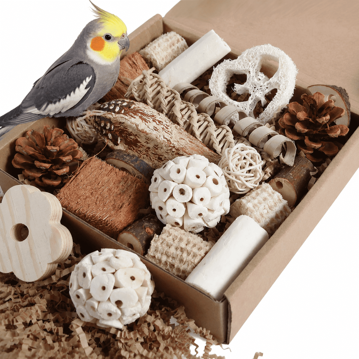 Parrot Toys for Medium Birds, Natural Foraging Toys for Birds, Budgie Toys, Cockatiel Toys for Inside Cage, Bird Playground, Bird Cage Accessories for Parakeets, Conures, Love Birds