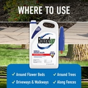 Roundup Weed and Grass Killer4 with Trigger Sprayer, 1 gal.