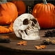 thumbnail image 4 of Uuiauoio Resin Skull, Human Head Model for Home Decoration, Halloween Statue, Skull Model for Bookshelf and Desktop, Skeleton Head Halloween Skull Artwork Decoration, 4 of 6