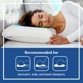 Sealy Essentials Cooling Gel Memory Foam Pillow, Adult, 2 Pack