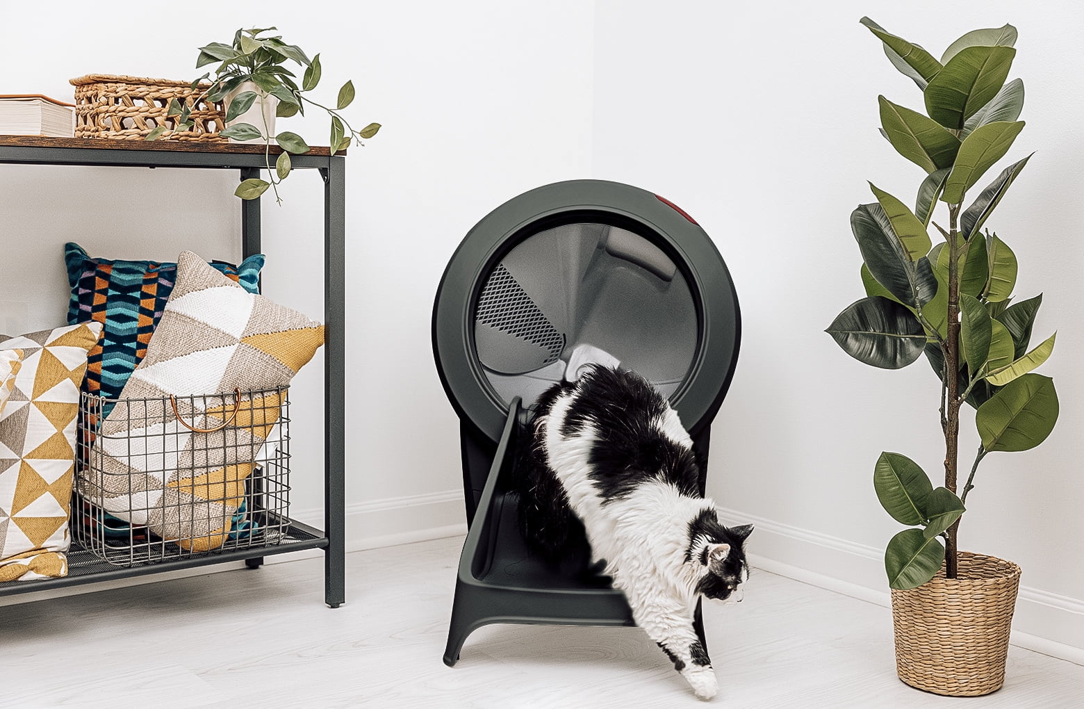 Litter-Robot 4 Ramp for Automatic Litter Box, White