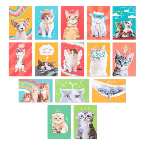 American Greetings - Assortiment en boîte de 15 cartes sans texte et enveloppes, Chats rigolos