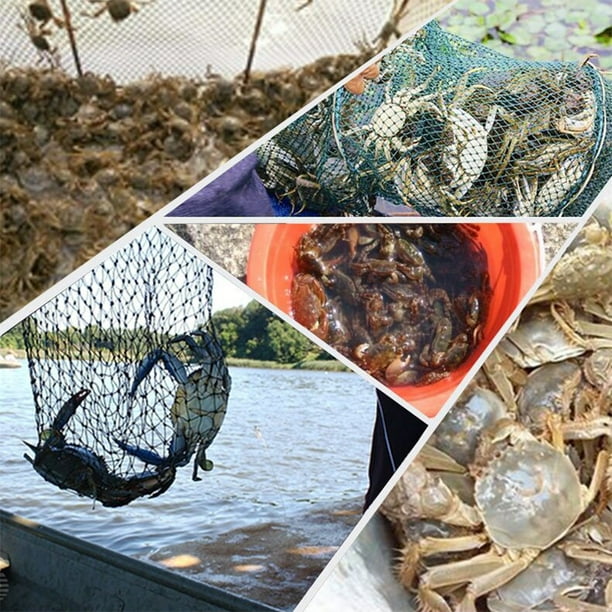Fishing Bait Foldable Net Trap Cast Dip Cage Crab Fish Minnow Crawdad Shrimp