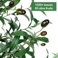 thumbnail image 2 of EastVita 83" Artificial Plant Olive Tree Faux Plant for Home Decor Indoor Outdoor Office Artificial Tree, 2 of 8