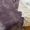 thumbnail image 2 of JET'S HOME Heated Blanket Twin 62"x84" - ETL&FCC Certified Flannel Electric Blanket Throw Machine Washable Heating Blanket with 4, 2 of 9