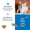 thumbnail image 4 of Arena para gatos Dr. Elsey's Premium sin perfume, 18,14 kg, 4 of 8