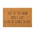thumbnail image 1 of BINGLI Funny Welcome Door Mats Area Rugs for Front Porch Decor Mi Casa No ES Tu Casa Spanish Doormat Cactus Personalized Kitchen Rugs with Anti-Slip Rubber Back Novelty Gift Mat(23.6 X 15.7 in), 1 of 5