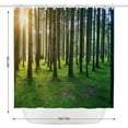 thumbnail image 2 of Sunny Nature Birch Forest Shower Curtain Sunshine Rainforest Landscape Shower Curtains for Bathroom Decor, Waterproof Polyester Fabric Shower Curtain 72x72 Inch with 12 Hooks, 2 of 6