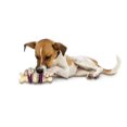 thumbnail image 3 of Juguetes para perros PetSafe Busy Buddy Bristle Bone Large (paquete de 2), 3 of 3