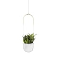 thumbnail image 1 of Bolo Planter White, 1 of 5