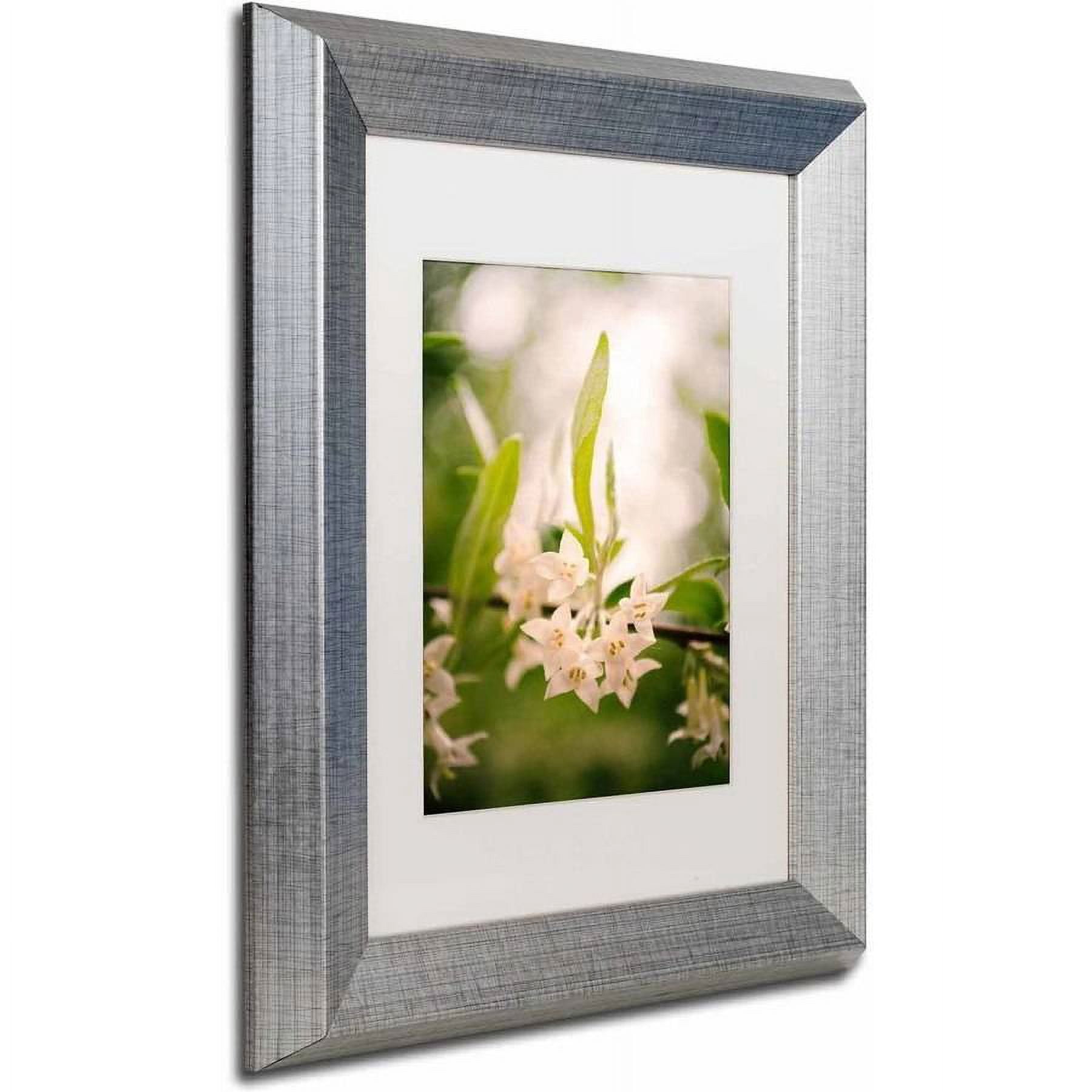 Trademark Fine Art 'Floral Tranquility' Canvas Art by PIPA Fine Art, White Matte, Silver Frame
