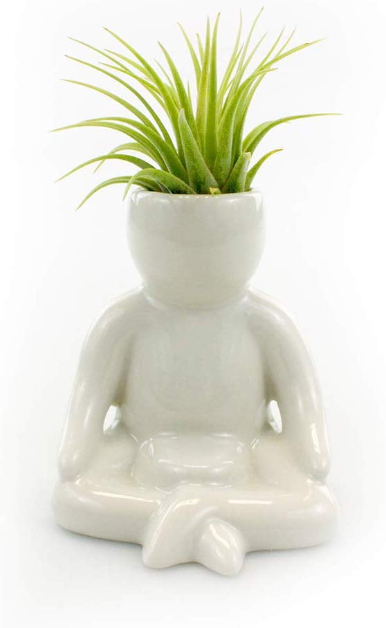 Air Plant Holder - Heavy Gauge Wire Air Plant Holder Air Plant Hub - We guarantee the style is the same as shown in the picture.
