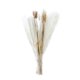 thumbnail image 3 of Ramo de flores secas de hierba de pampas real de 60 ramas para bodas, ideal para gabinetes cereal de trigo, 3 of 9
