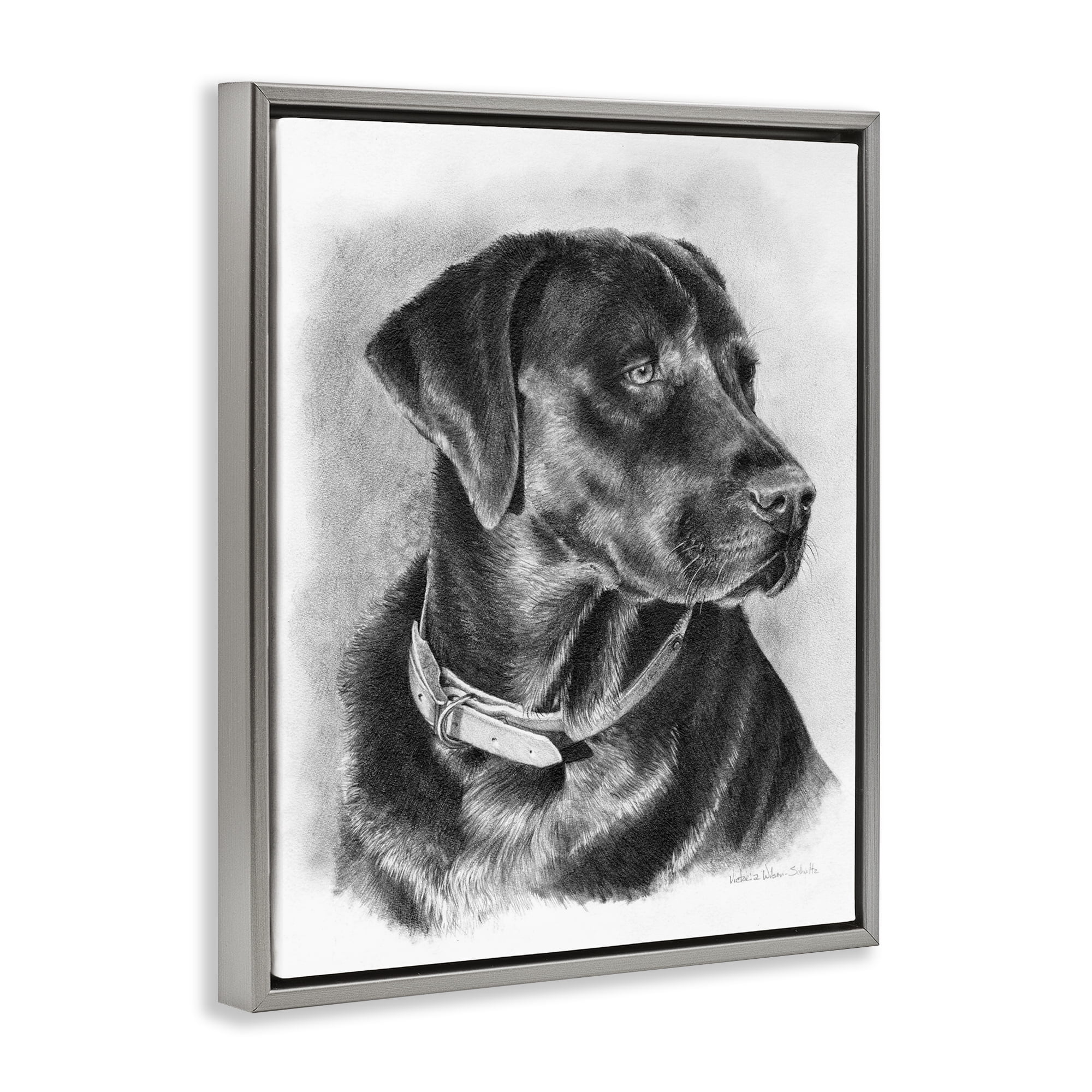 Stupell Industries Black Lab Drawing Animals & Insects Drawing Gray Floater Framed Canvas Art Print Wall Art, 25 x 31