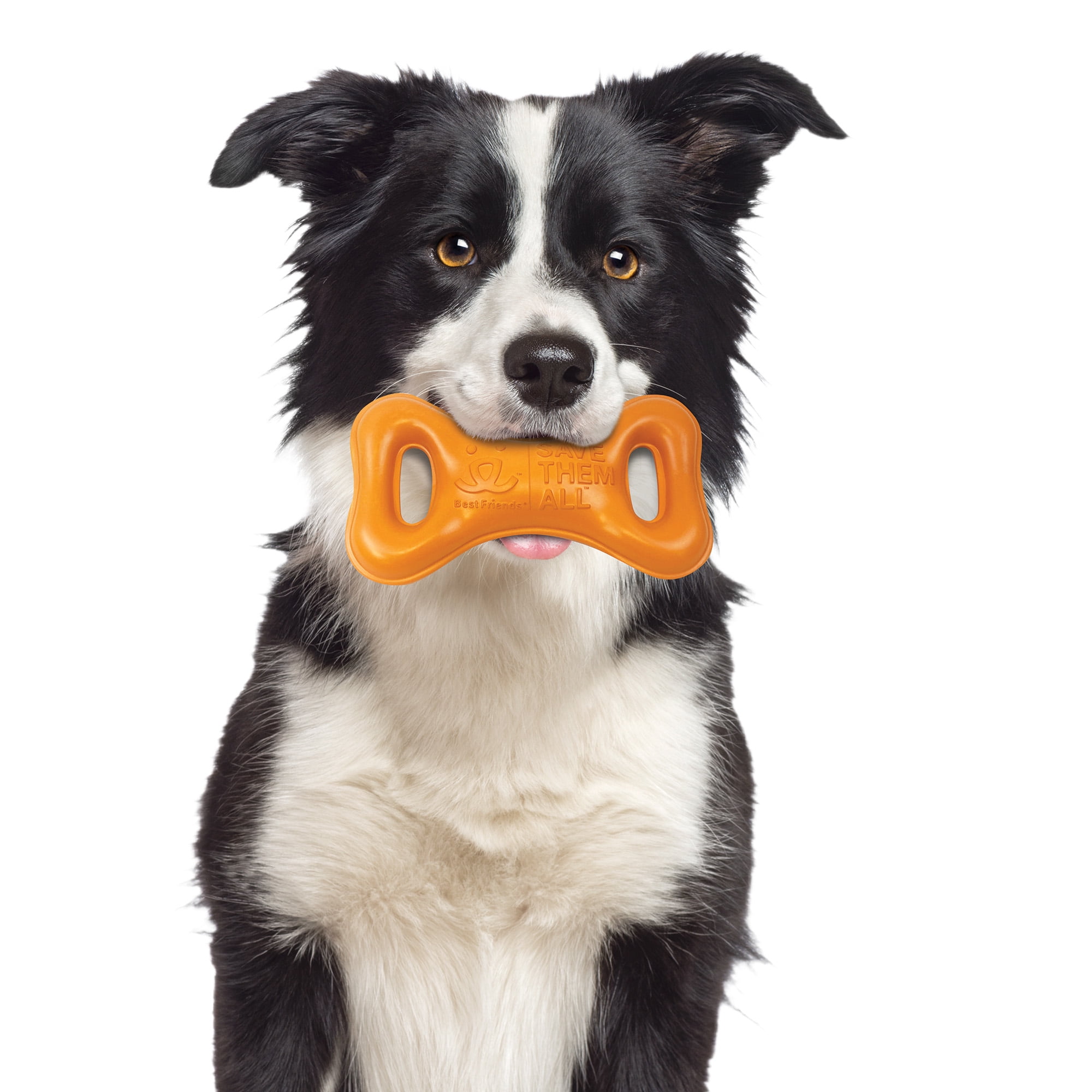Best Friends Dog Tug Toy