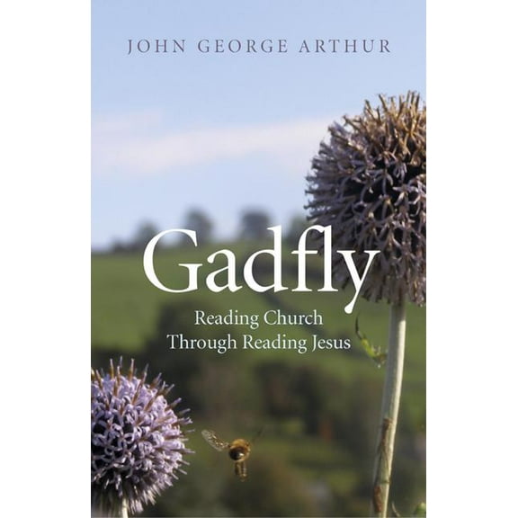 Gadfly: Reading Church Through Reading Jesus (Paperback)
